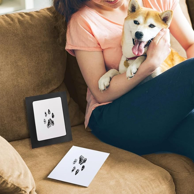 كلب القط باو طباعة الحبر مجموع - مراجعة Footprint Ink Kit وسعره